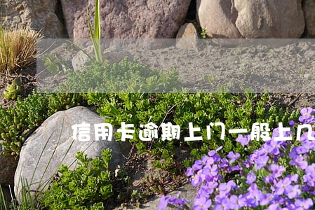 信用卡逾期上门一般上几次