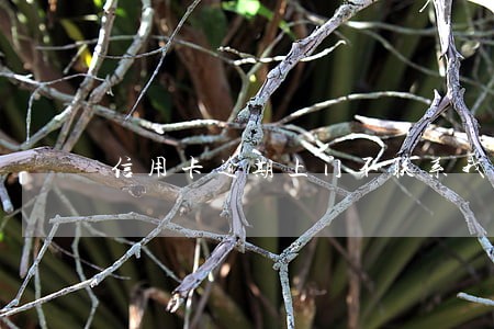 信用卡逾期上门不联系我