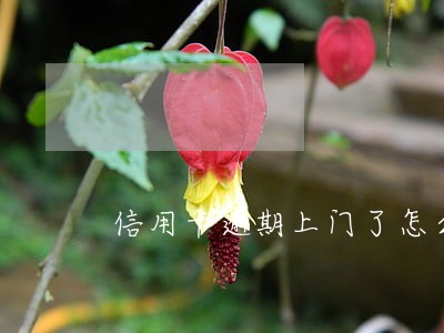 信用卡逾期上门了怎么协商 信用卡逾期上门了怎么协商