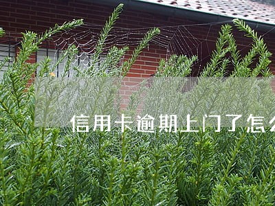 信用卡逾期上门了怎么跟家里说