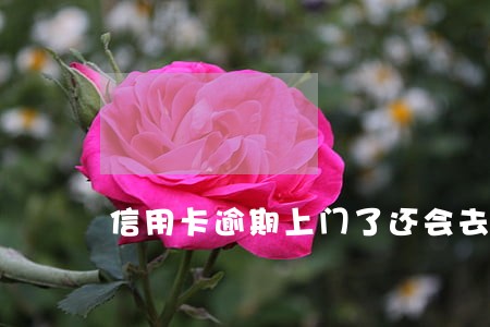信用卡逾期上门了还会去吗