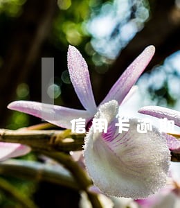 信用卡逾期上门人不在 信用卡逾期上门人不在