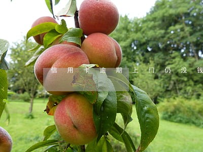 信用卡逾期上门仍没钱还