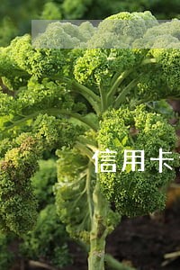 信用卡逾期上门会上几次 信用卡逾期上门会上几次