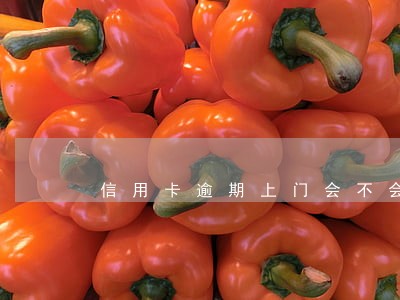 信用卡逾期上门会不会坐牢 信用卡逾期上门会不会坐牢