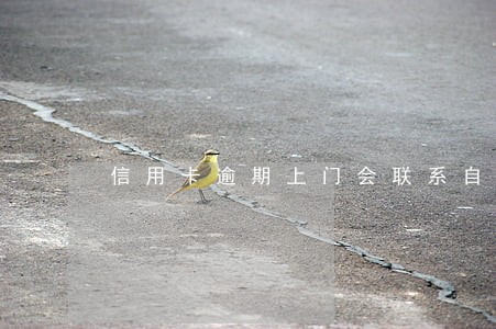 信用卡逾期上门会联系自己吗