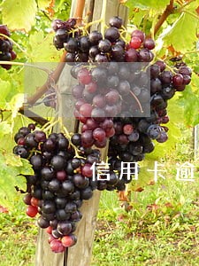 信用卡逾期上门会要上门费吗