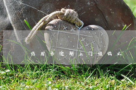 信用卡逾期上门催收么