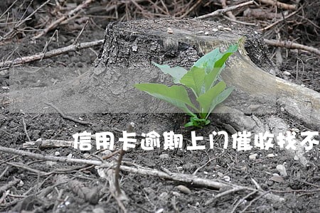 信用卡逾期上门催收找不到人