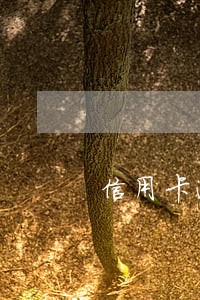 信用卡逾期上门催款两次