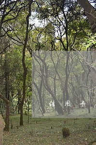 信用卡逾期上门催款会被带走吗