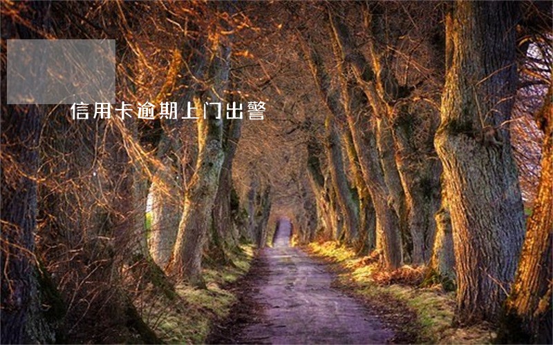 信用卡逾期上门出警