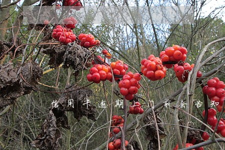 信用卡逾期上门前会告知吗 信用卡逾期上门前会告知吗