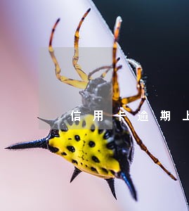 信用卡逾期上门协商协议有效吗