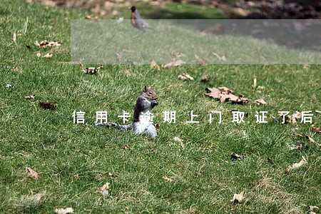 信用卡逾期上门取证了后怎么办 信用卡逾期上门取证了后怎么办