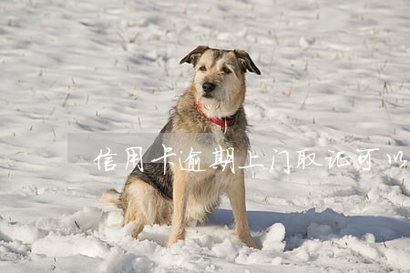 信用卡逾期上门取证可以拒绝吗 信用卡逾期上门取证可以拒绝吗