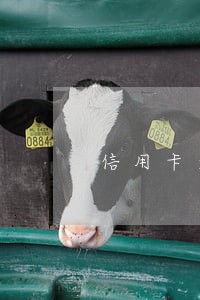 信用卡逾期上门取证如何回答