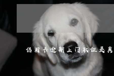 信用卡逾期上门取证是真是假