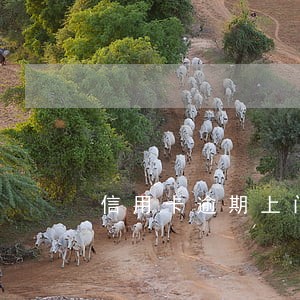 信用卡逾期上门叫签字能签吗 信用卡逾期上门叫签字能签吗