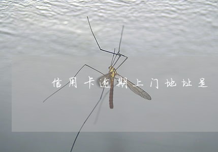 信用卡逾期上门地址是 信用卡逾期上门地址是