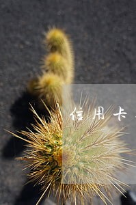 信用卡逾期上门多久会被起诉 信用卡逾期上门多久会被起诉