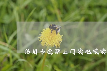 信用卡逾期上门实地核实 信用卡逾期上门实地核实