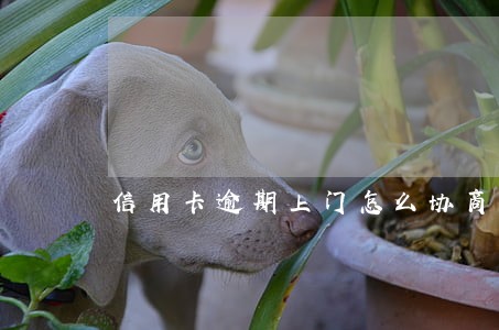 信用卡逾期上门怎么协商 信用卡逾期上门怎么协商
