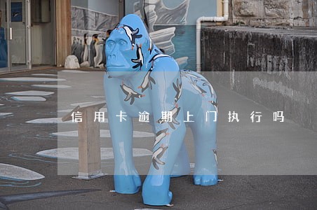 信用卡逾期上门执行吗