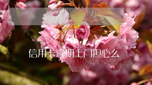 信用卡逾期上门担心么 信用卡逾期上门担心么