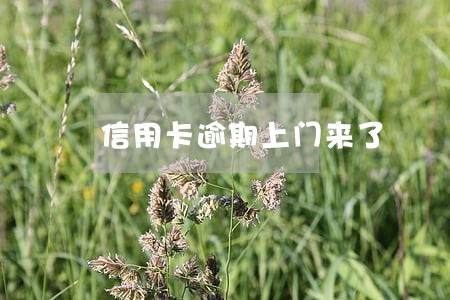 信用卡逾期上门来了 信用卡逾期上门来了