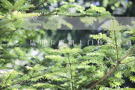 信用卡逾期上门核实是真的吗 信用卡逾期上门核实是真的吗