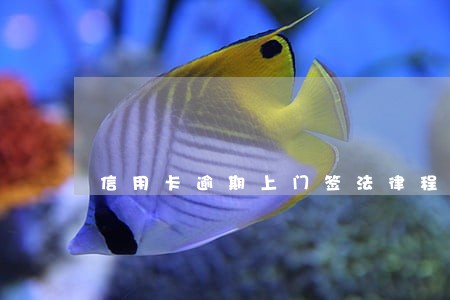 信用卡逾期上门签法律程序 信用卡逾期上门签法律程序
