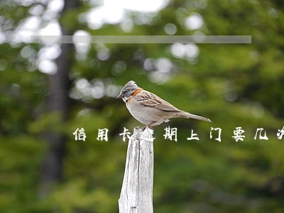 信用卡逾期上门要几次 信用卡逾期上门要几次