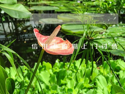 信用卡逾期上门讨债 信用卡逾期上门讨债
