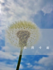 信用卡逾期上门让按手印 信用卡逾期上门让按手印