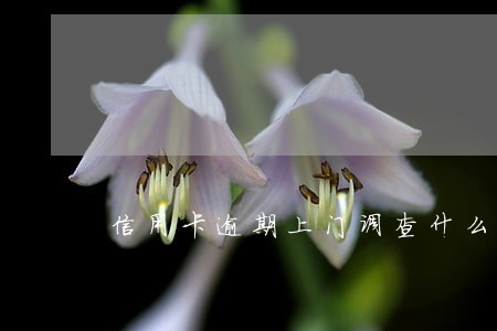 信用卡逾期上门调查什么意思 信用卡逾期上门调查什么意思