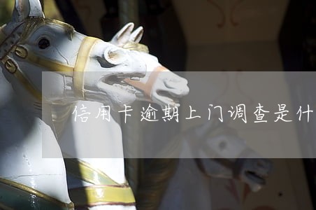 信用卡逾期上门调查是什么人 信用卡逾期上门调查是什么人