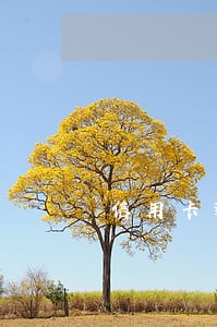 信用卡逾期上门走访合规吗 信用卡逾期上门走访合规吗