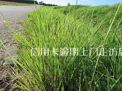 信用卡逾期上门走访后就会立案吗