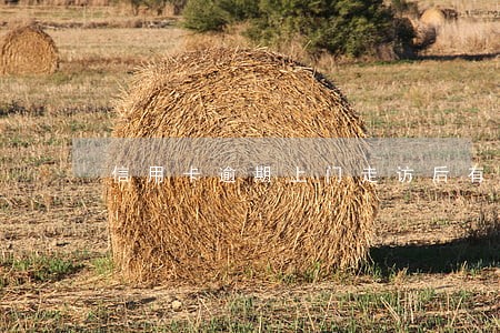 信用卡逾期上门走访后有什么后果