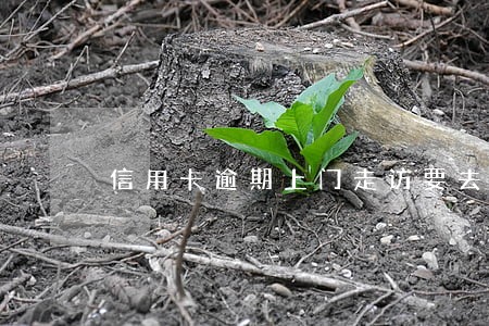 信用卡逾期上门走访要去派出所吗 信用卡逾期上门走访要去派出所吗