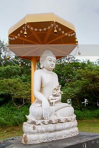 信用卡逾期上门走访需要同意吗 信用卡逾期上门走访需要同意吗