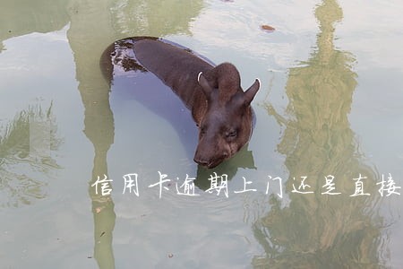 信用卡逾期上门还是直接去银行 信用卡逾期上门还是直接去银行