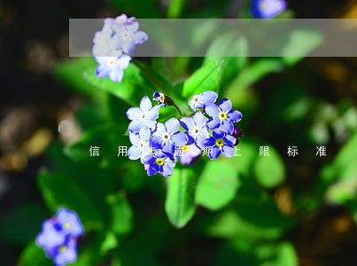 信用卡逾期上限标准