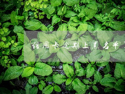 信用卡逾期上黑名单了能投资 信用卡逾期上黑名单了能投资