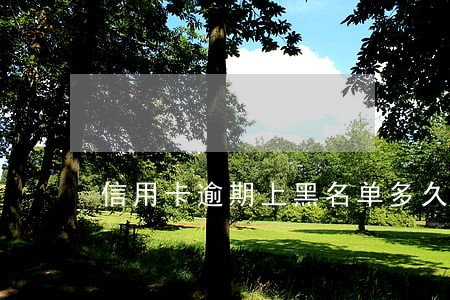 信用卡逾期上黑名单多久会消除 信用卡逾期上黑名单多久会消除