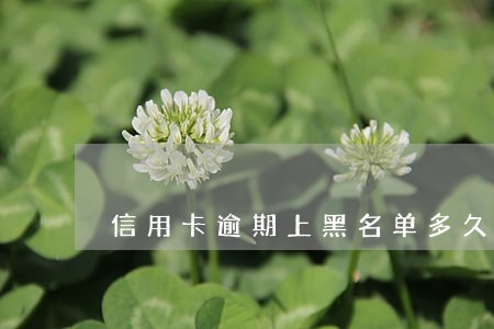 信用卡逾期上黑名单多久恢复 信用卡逾期上黑名单多久恢复