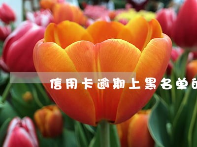 信用卡逾期上黑名单的标准