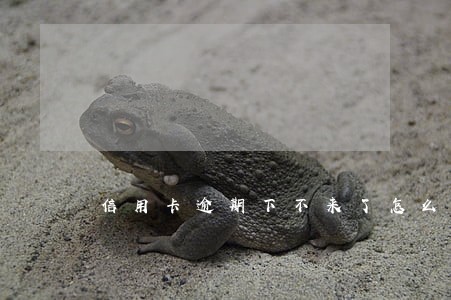信用卡逾期下不来了怎么办