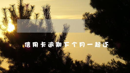 信用卡逾期下个月一起还 信用卡逾期下个月一起还